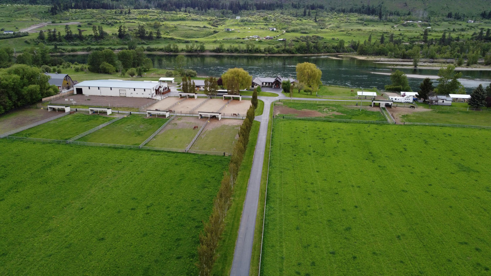 Ringstead Ranch Overview, Chase, BC Peruvian Horse Breeders