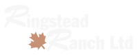 Ringstead Ranch | Peruvian Horse Breeders